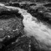 Bolton Abbey 071109_8_1